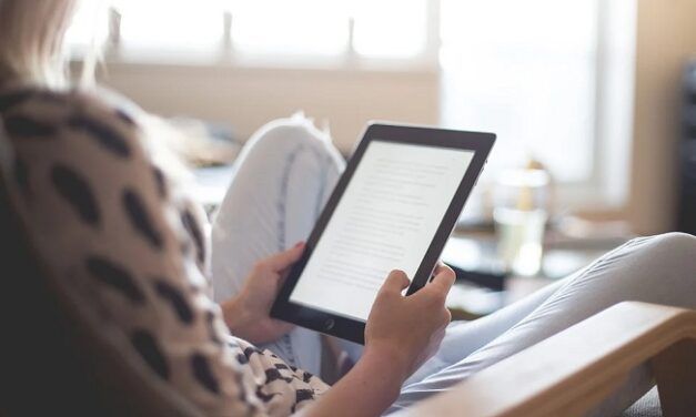 Marché Numérique: 5% des francais lisent des ebooks