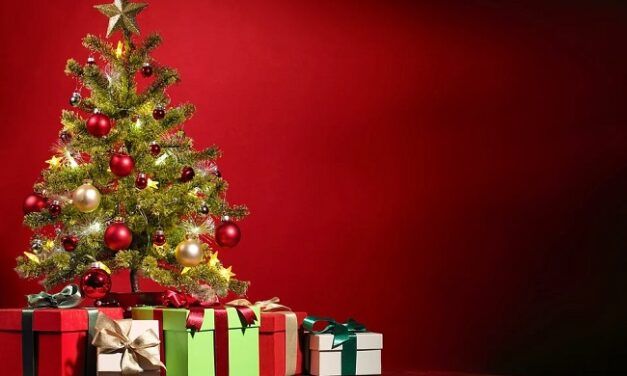 E-Commerce: Les tendances de noël 2010