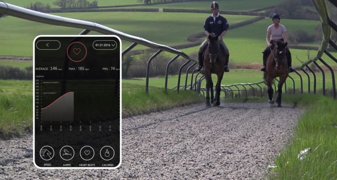 La start-up du sport hippique Seaver lève 1,8 million d’euros pour y démocratiser l’iot