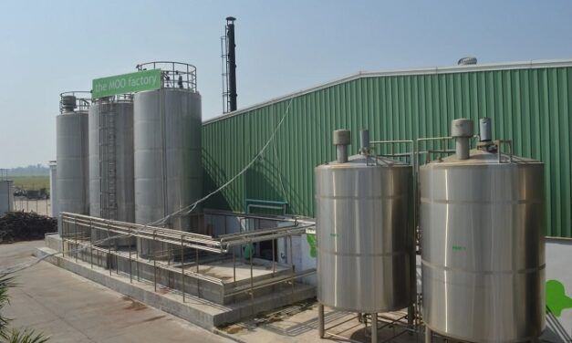 La start-up Indienne Milk Mantra lève 10M$ auprès de l’US International Development Finance Corporation