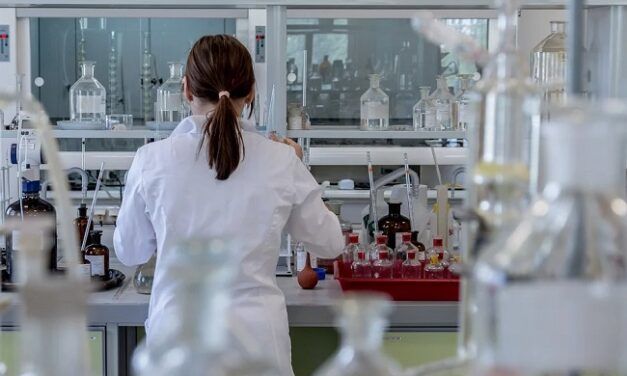 Google choisit l’Afrique pour implanter son premier laboratoire de recherche en IA