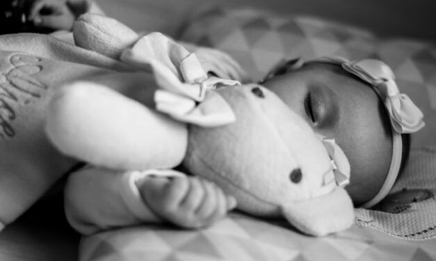 La start-up de la fertilité Hannah Life Technologies opère une levée de fonds de 5,15M$ en série A